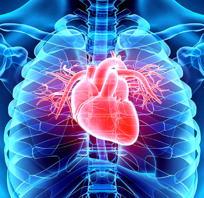Cardiologia